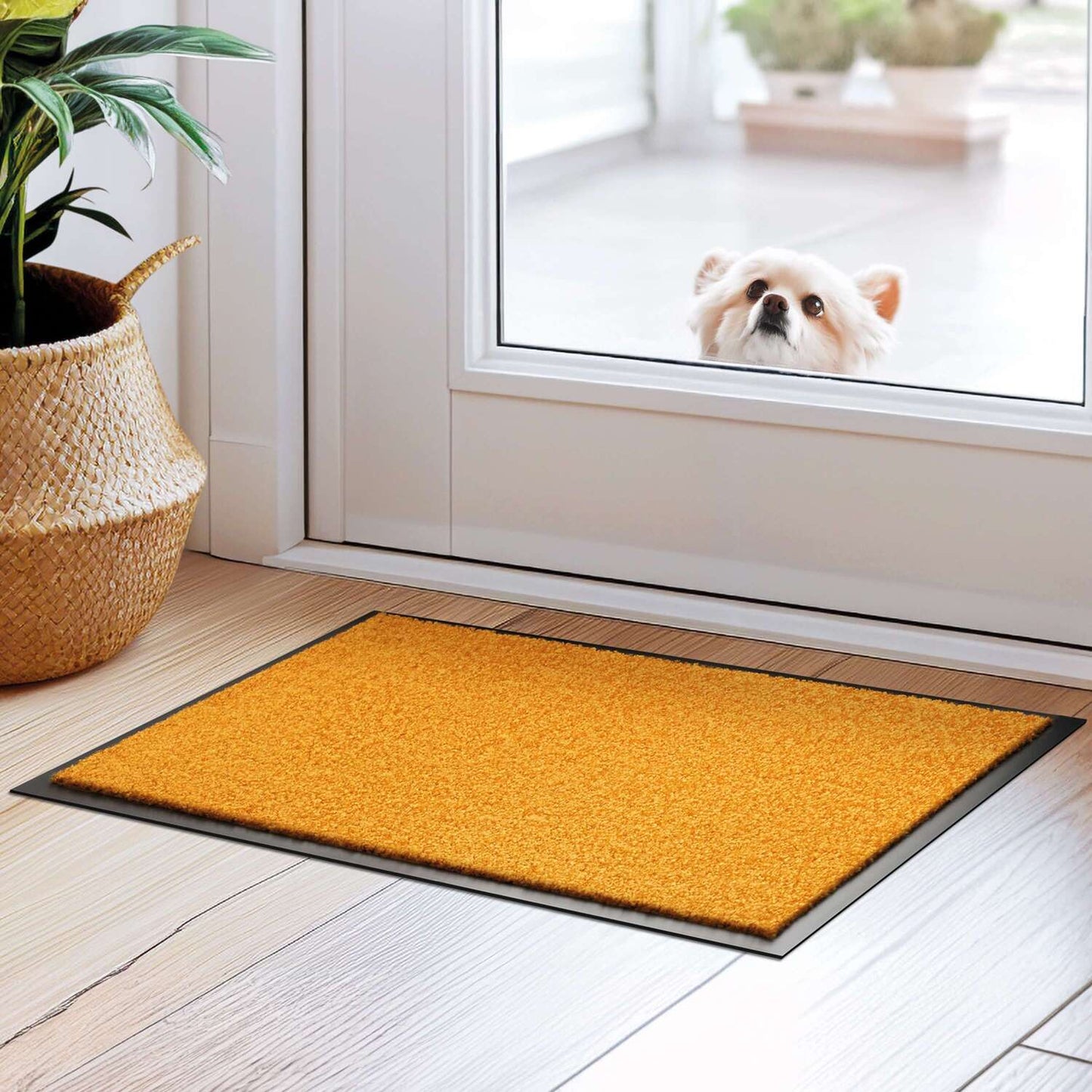 Schmutzfangmatte liegt im Eingangsbereich auf braunem Parkettboden. Hinter der Glastür schaut ein Hund ins Haus rein.