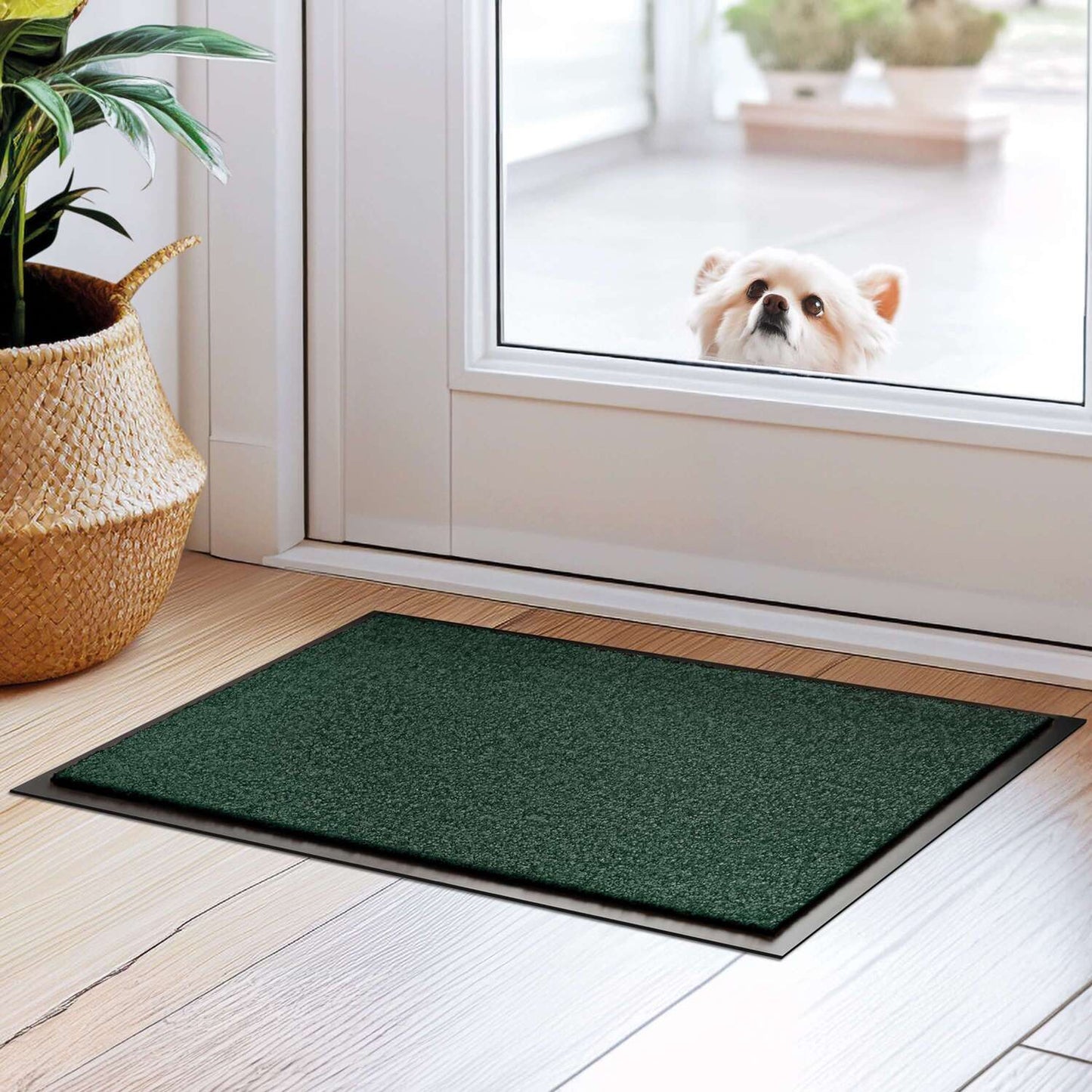 Schmutzfangmatte liegt im Eingangsbereich auf braunem Parkettboden. Hinter der Glastür schaut ein Hund ins Haus rein.