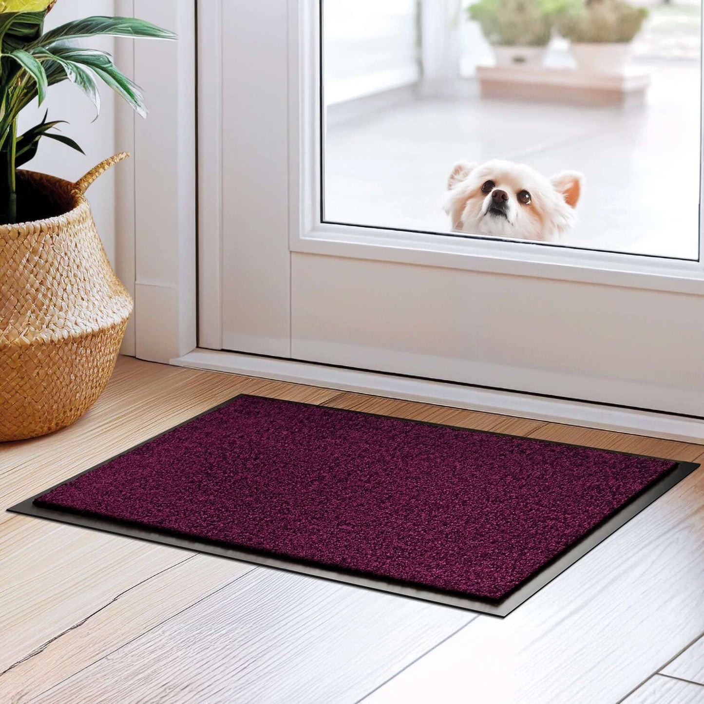 Schmutzfangmatte liegt im Eingangsbereich auf braunem Parkettboden. Hinter der Glastür schaut ein Hund ins Haus rein.