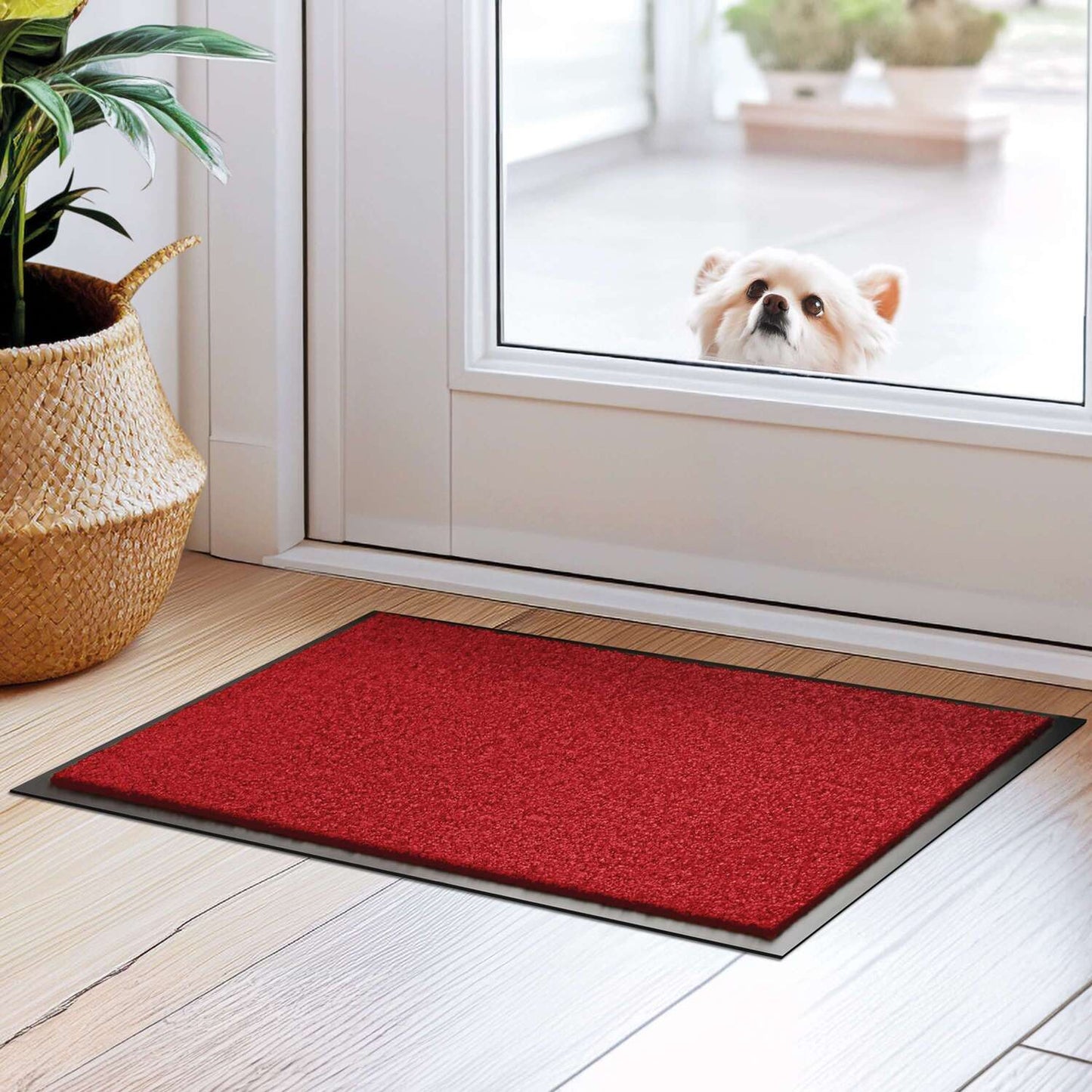 Schmutzfangmatte liegt im Eingangsbereich auf braunem Parkettboden. Hinter der Glastür schaut ein Hund ins Haus rein.