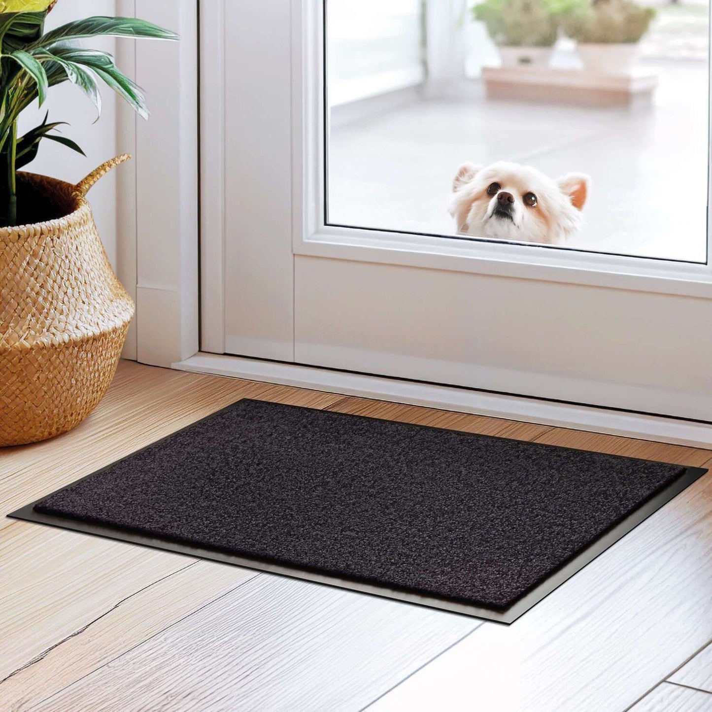 Schmutzfangmatte liegt im Eingangsbereich auf braunem Parkettboden. Hinter der Glastür schaut ein Hund ins Haus rein.