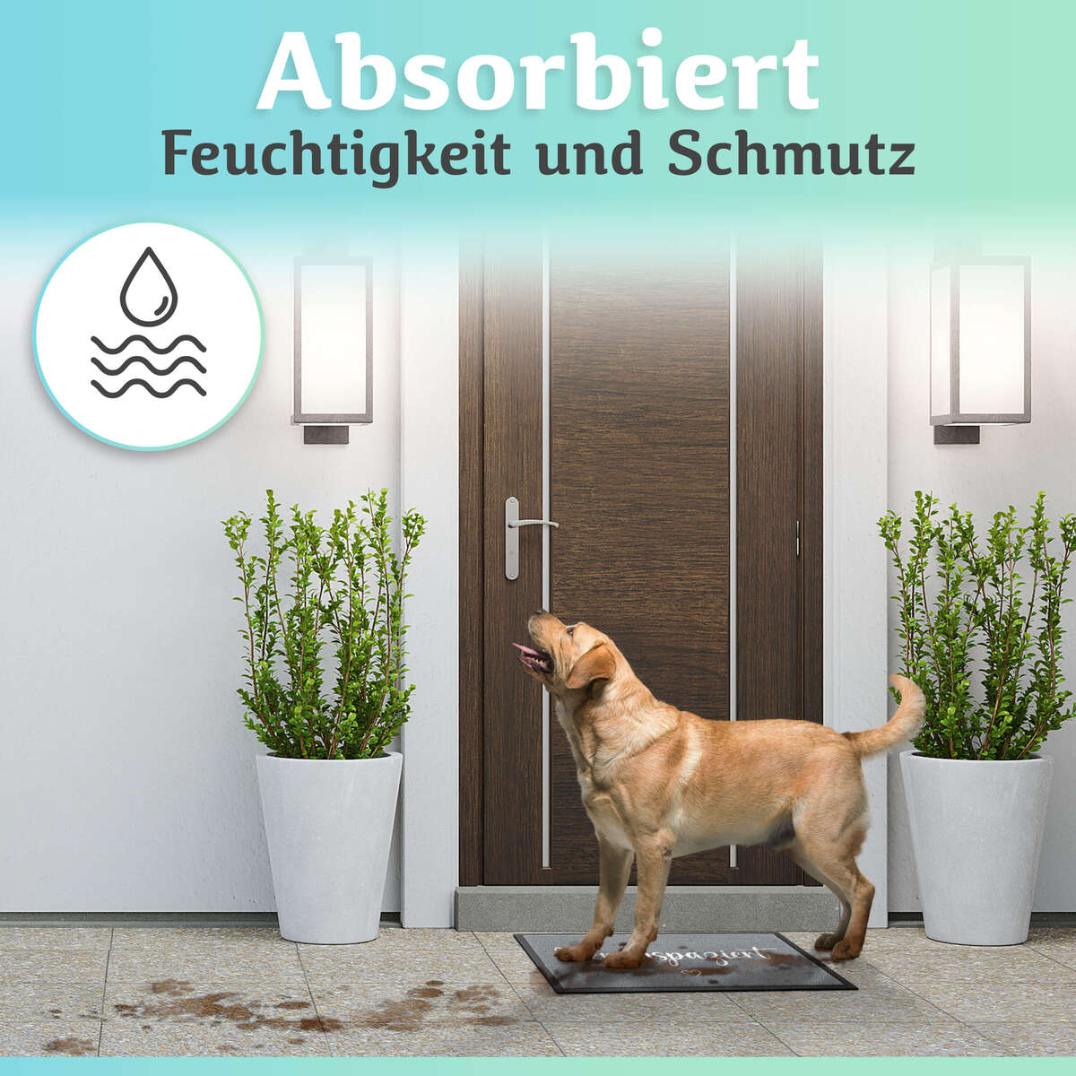 Im Innenbereich läuft ein Hund über die Bodenständig Fußmatte, die vor einer Haustür liegat. Sie nimmt Schmutz auf und hinterlässt keine Spuren.
