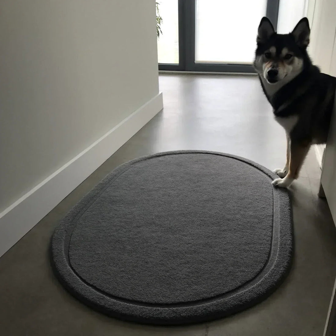 Welche Fußmatte im Innenbereich eignet sich für Haustiere?