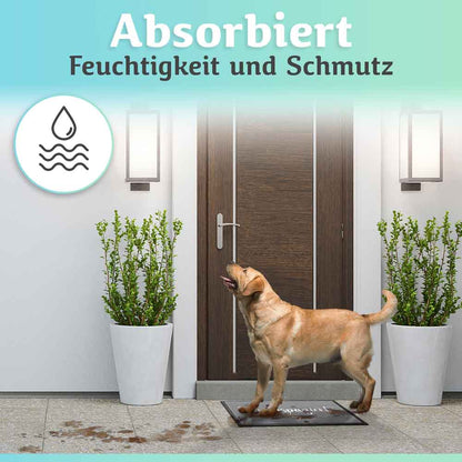 graue fussmatte absorbiert feuchtigkeit und schmutz ein hund steht vor der haustuer auf der matte ideal fuer eingangsbereiche