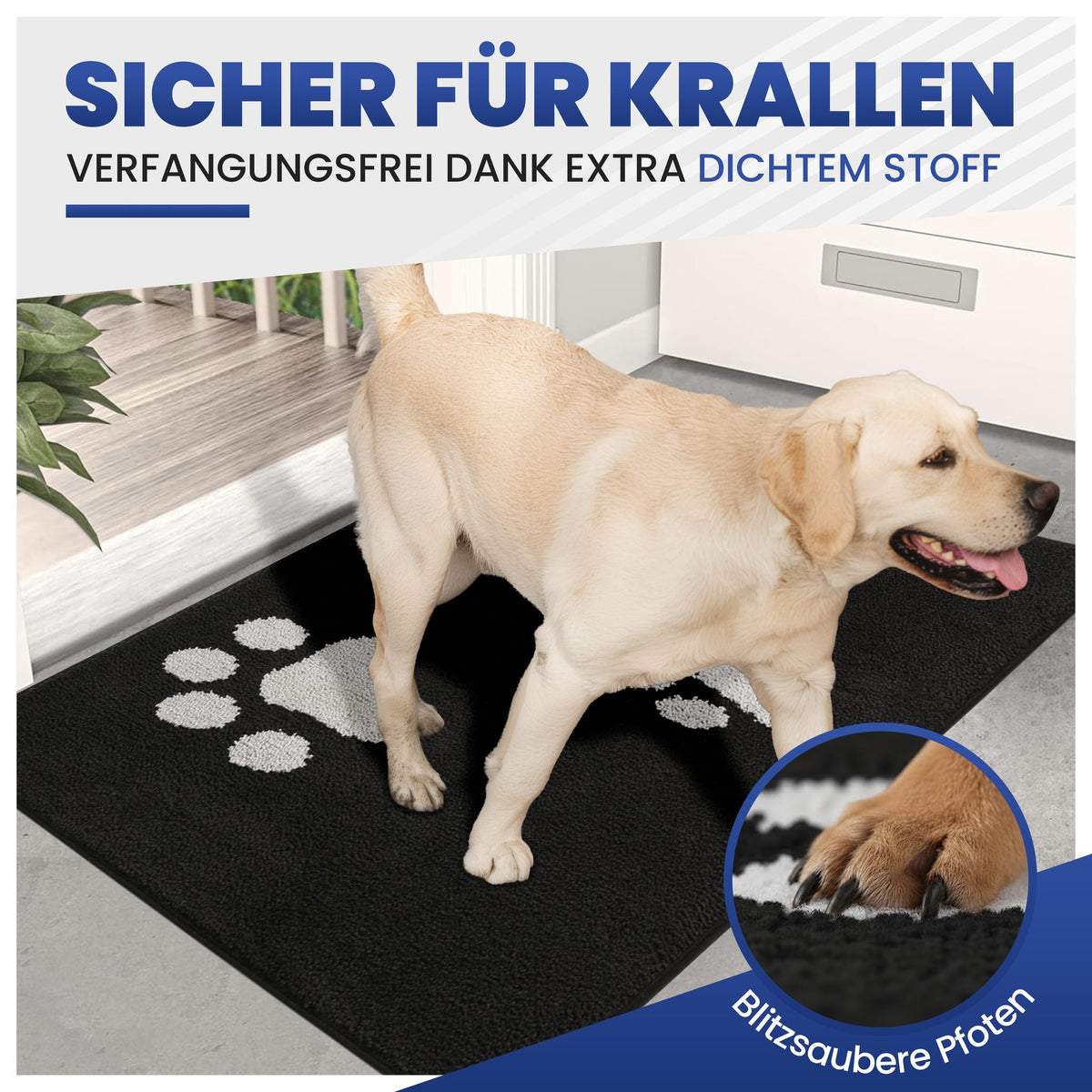 Labrador läuft über schwarze Fußmatte mit weißen Pfoten, Detail einer Pfote mit Krallen, Text Sicher für Krallen