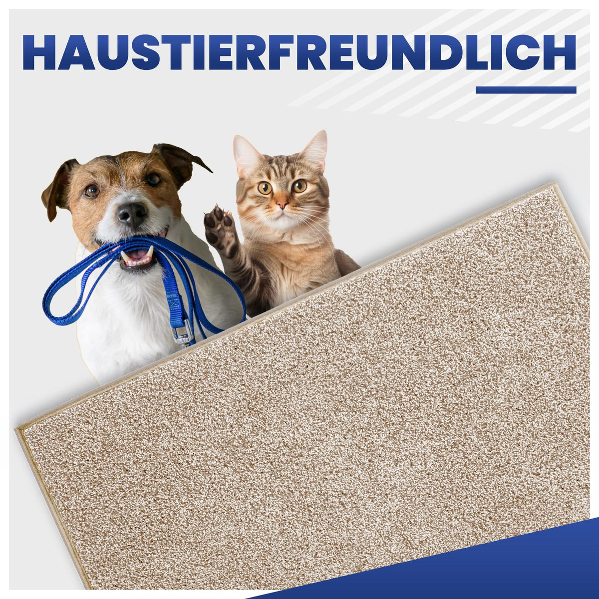 Hund mit blauer Leine und Katze hinter einer beigen Fußmatte, Text: Haustierfreundlich