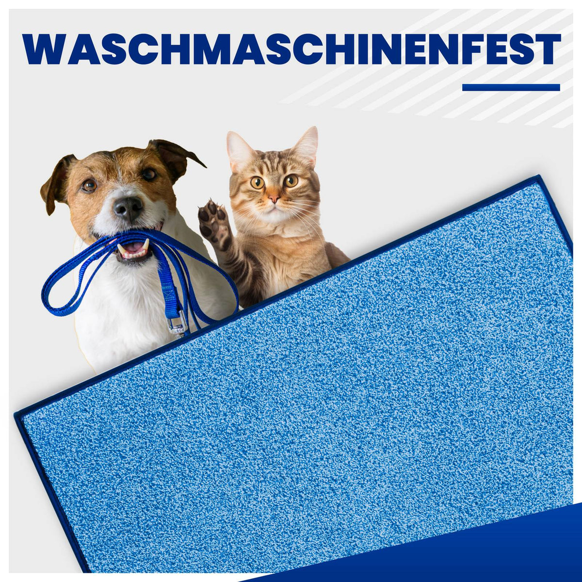 Blaue Fußmatte mit Hund, der eine Leine hält, und Katze dahinter, Text „Waschmaschinenfest“