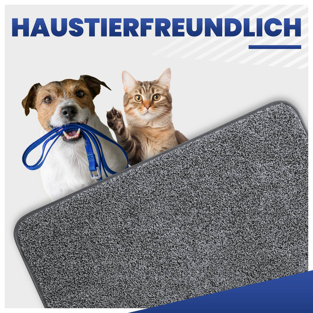 Graue Fußmatte, dahinter Hund mit blauer Leine im Maul und Katze, Text: Haustierfreundlich