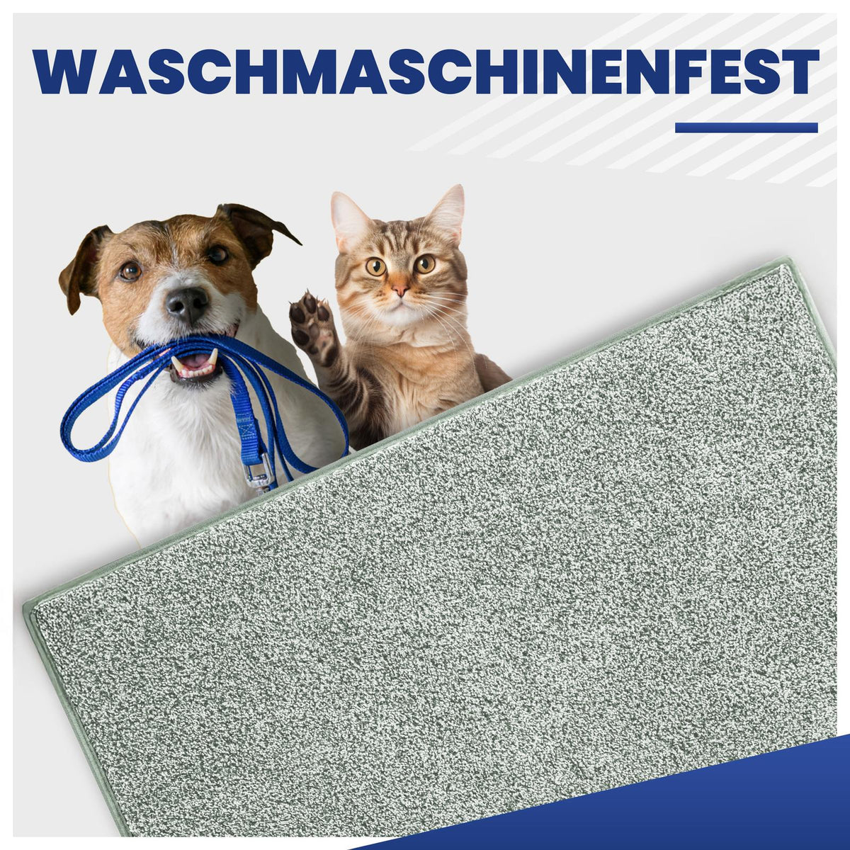 Grüne Fußmatte, dahinter Hund mit blauer Leine und Katze, Text: Waschmaschinenfest