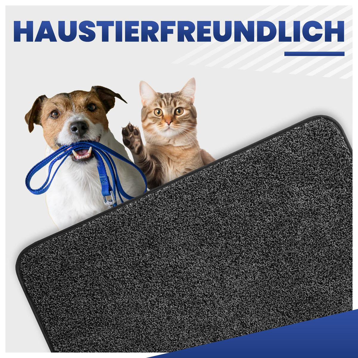 Hund mit Leine im Maul und Katze hinter einer grauen Fußmatte; Text: Haustierfreundlich