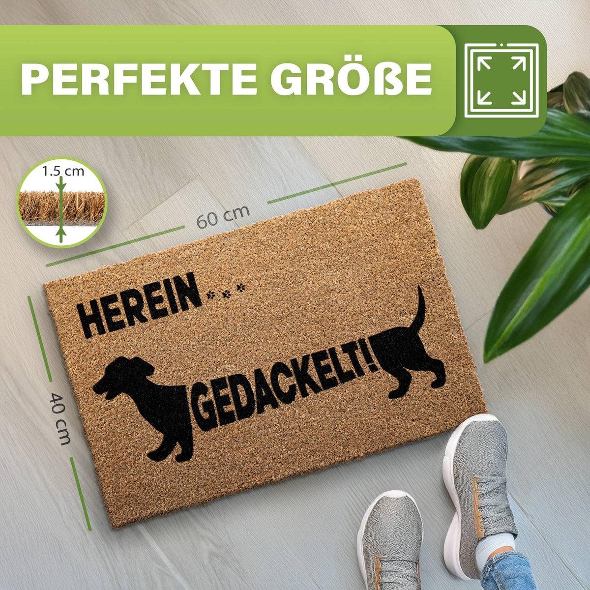 Kokos Fußmatte „Herein... Gedackelt!“ mit Dackel auf Holzboden, Maße 60 x 40 cm, Dicke 1,5 cm, daneben Schuhe