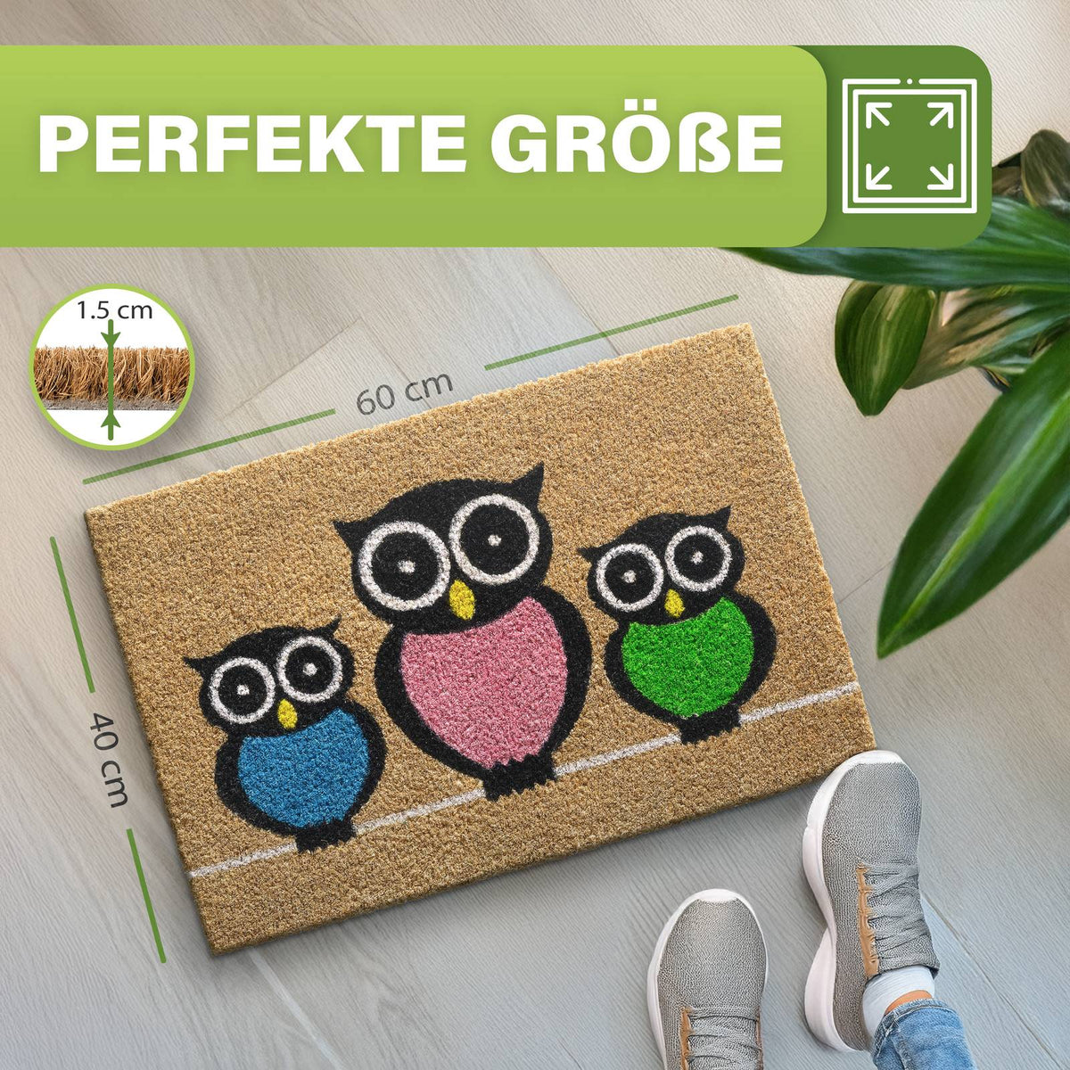 Kokos-Fußmatte mit drei bunten Eulen, Maße 40 x 60 cm und 1,5 cm Höhe, auf Boden neben Pflanze und Sportschuhen