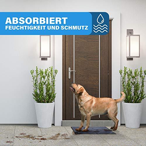 Hund steht auf einer blauen Fussmatte vor der Haustuer, die Feuchtigkeit und Schmutz im Eingangsbereich effektiv absorbiert.
